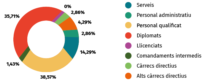 Categoria professional de la plantilla